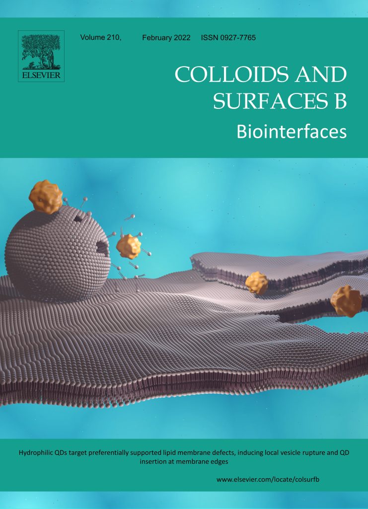 Journal Covers – Physics Of Biointerfaces Lab